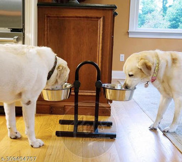 Stainless Steel Feeding Bowls for Pet (Multicolor)