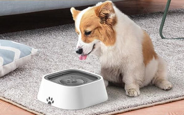 Floating Anti- Overflow Pet Bowl