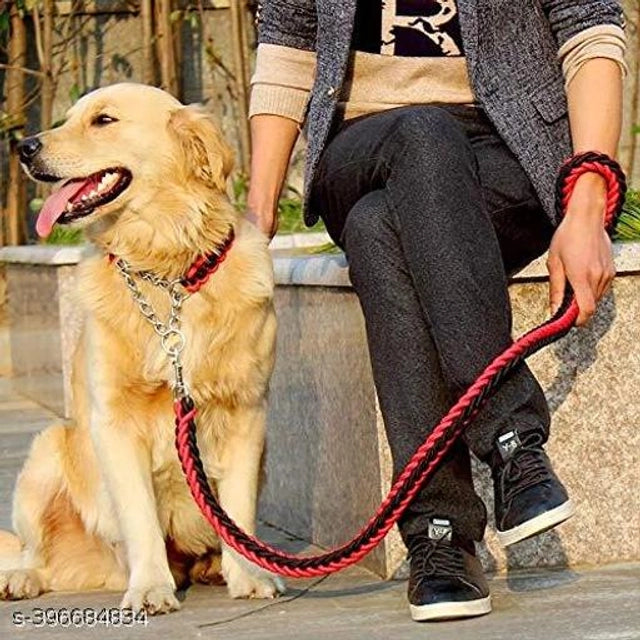 Neck Collar Belt for Pet (Multicolor, XL)